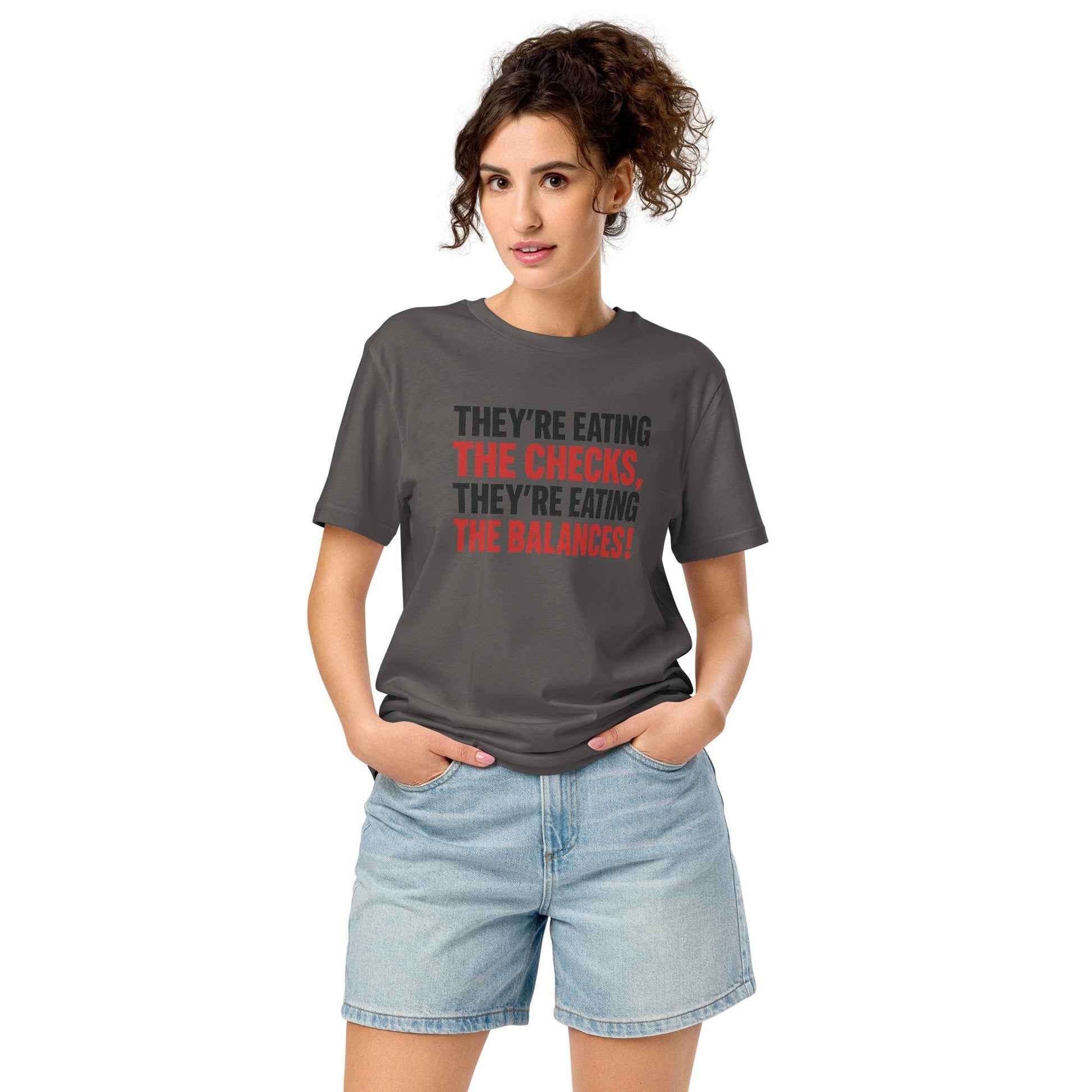 Checks and Balances - Unisex organic mid-light t-shirt