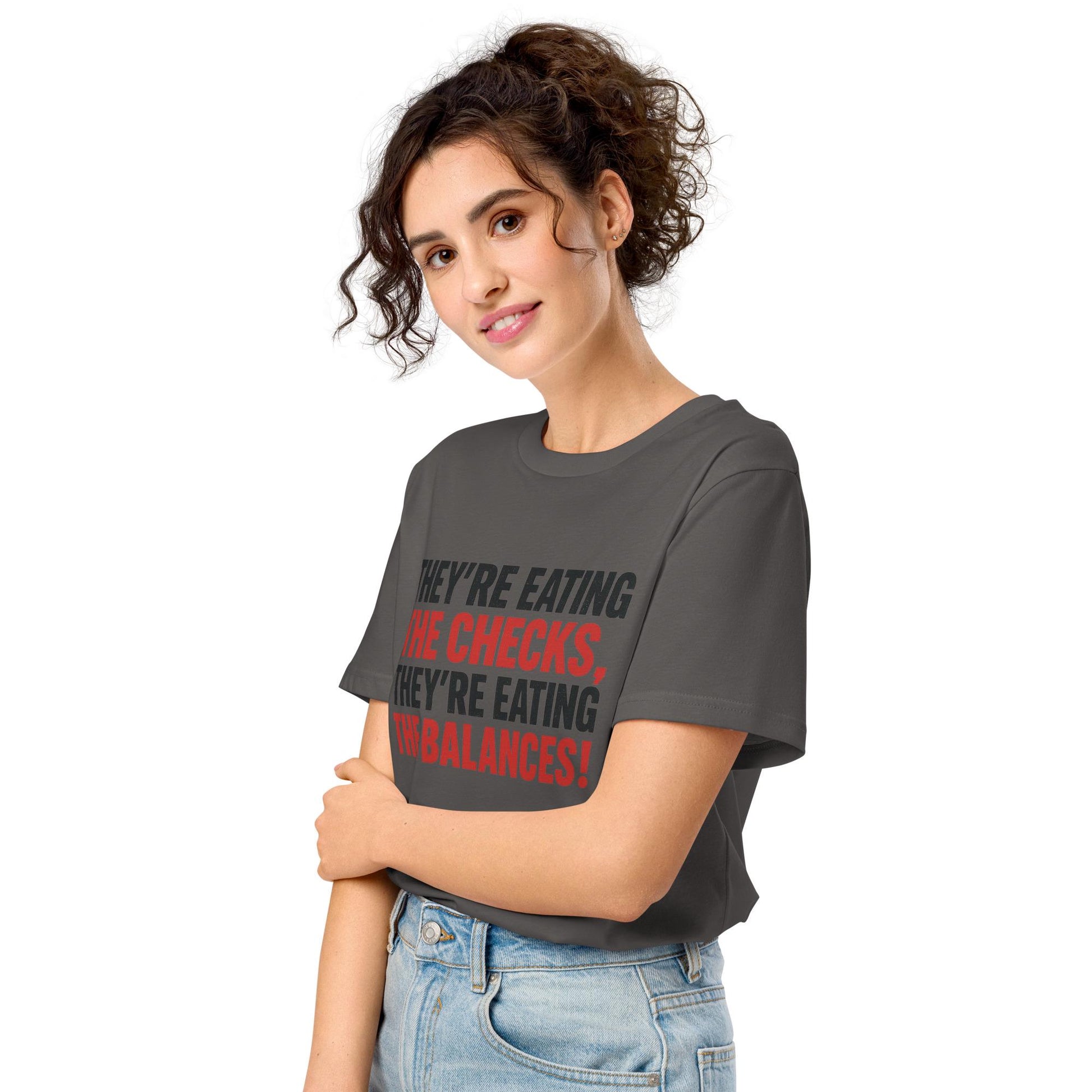 Checks and Balances - Unisex organic mid-light t-shirt