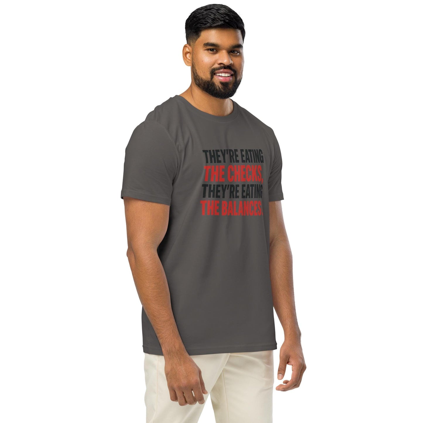 Checks and Balances - Unisex organic mid-light t-shirt